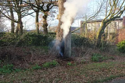 Boom vat vlam door mogelijk vuurwerk — foto 1 van 2