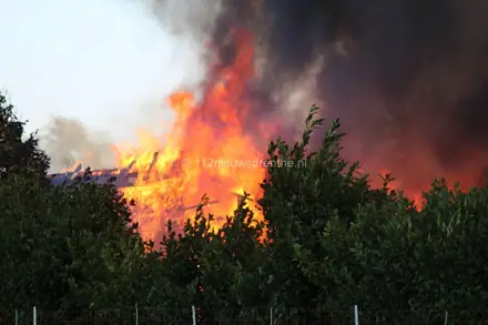 Brand in schuur Anreep, brandweer redt rietgedekte boerderij — foto 4 van 4