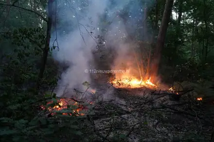 Brandweer rukt weer uit voor bosbrand aan de Laan van de Eekharst — foto 2 van 10