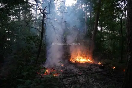 Brandweer rukt weer uit voor bosbrand aan de Laan van de Eekharst — foto 3 van 10