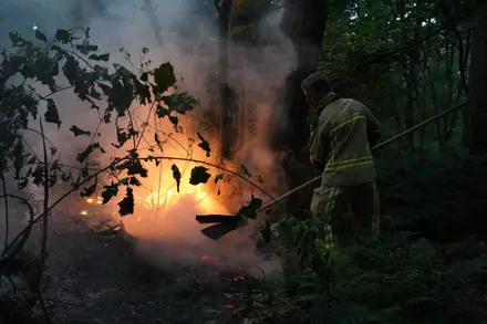 Brandweer rukt weer uit voor bosbrand aan de Laan van de Eekharst — foto 8 van 10