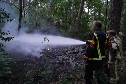 Brandweer rukt weer uit voor bosbrand aan de Laan van de Eekharst — foto 9 van 10