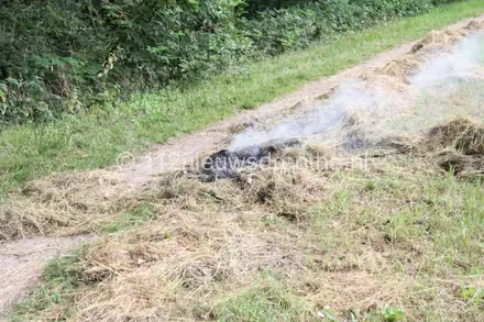 Hooibrand in Emmen snel onder controle — foto 2 van 4