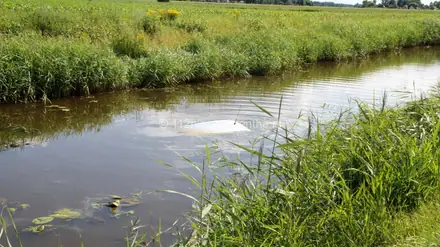 Bestuurder loopt nat pak op en auto total loss in Nieuw Weerdinge (video) — foto 1 van 4
