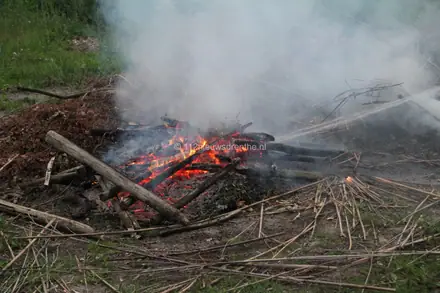 Palen en groen in de brand in Angelslo — foto 1 van 3