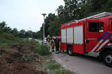 Palen en groen in de brand in Angelslo — foto 3 van 3