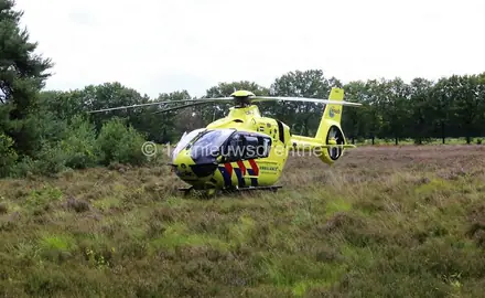 Man bekneld onder grote tak in Marwijksoord — foto 3 van 4