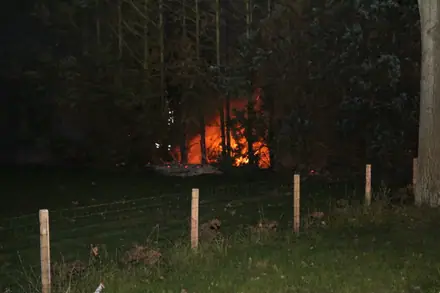 Coniferen in de brand aan de Scheidingsweg in Nieuw-Amsterdam — foto 3 van 4