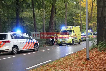 Automobilist gewond na botsing met boom in Emmen — foto 1 van 4