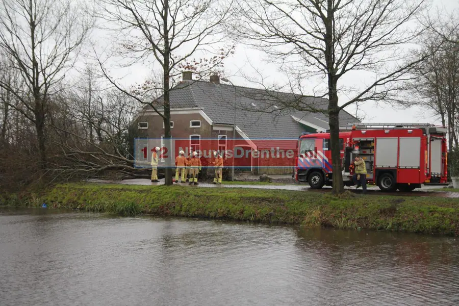 Boom waait om op weg in Nieuw-Amsterdam