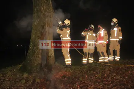 Update: Brandweer twee keer naar brand in boom aan de Slenerbrink in Emmen — foto 2 van 9