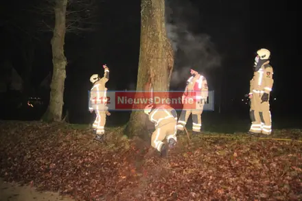 Update: Brandweer twee keer naar brand in boom aan de Slenerbrink in Emmen — foto 4 van 9