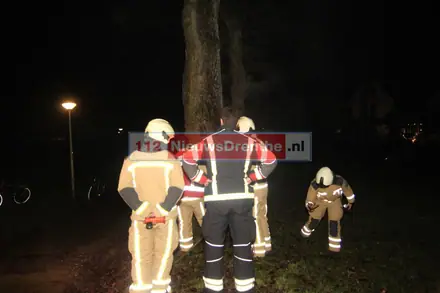 Update: Brandweer twee keer naar brand in boom aan de Slenerbrink in Emmen — foto 6 van 9