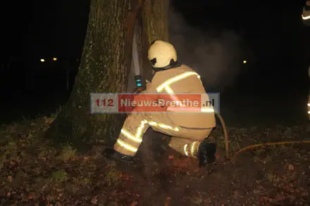 Update: Brandweer twee keer naar brand in boom aan de Slenerbrink in Emmen — foto 7 van 9