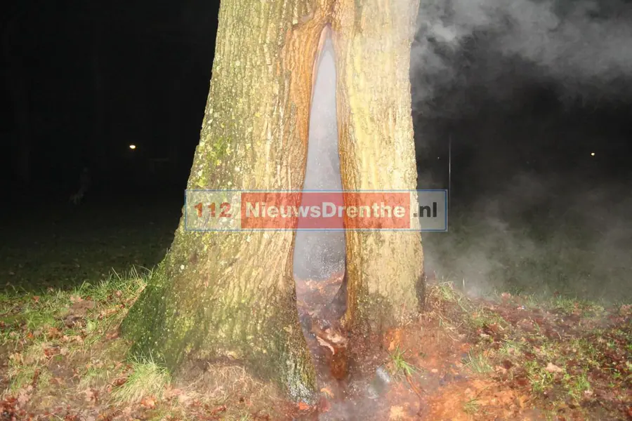 Update: Brandweer twee keer naar brand in boom aan de Slenerbrink in Emmen