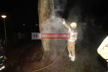 Update: Brandweer twee keer naar brand in boom aan de Slenerbrink in Emmen — foto 8 van 9
