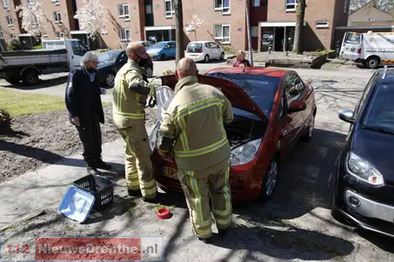 Brandweer bevrijdt opstandige kat uit motorruimte auto — foto 8 van 9