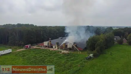 Groot deel van de driehonderd varkens heeft stalbrand Mantinge niet overleefd — foto 2 van 12