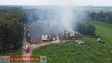 Groot deel van de driehonderd varkens heeft stalbrand Mantinge niet overleefd — foto 5 van 12