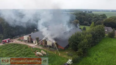 Groot deel van de driehonderd varkens heeft stalbrand Mantinge niet overleefd — foto 6 van 12