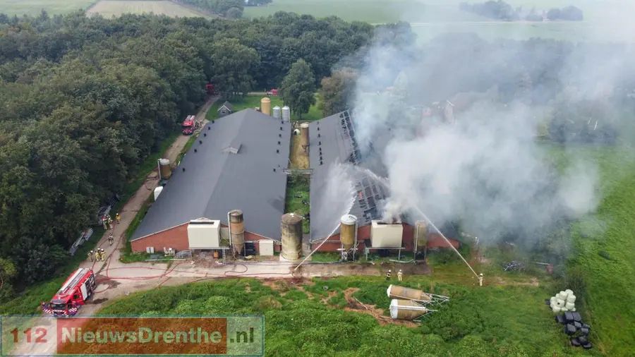 Groot deel van de driehonderd varkens heeft stalbrand Mantinge niet overleefd