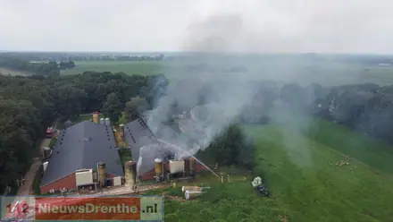 Groot deel van de driehonderd varkens heeft stalbrand Mantinge niet overleefd — foto 8 van 12