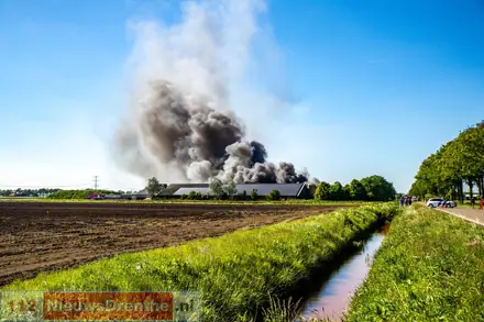 Grote brand bij varkensboerderij in Mussel [Video] — foto 3 van 4