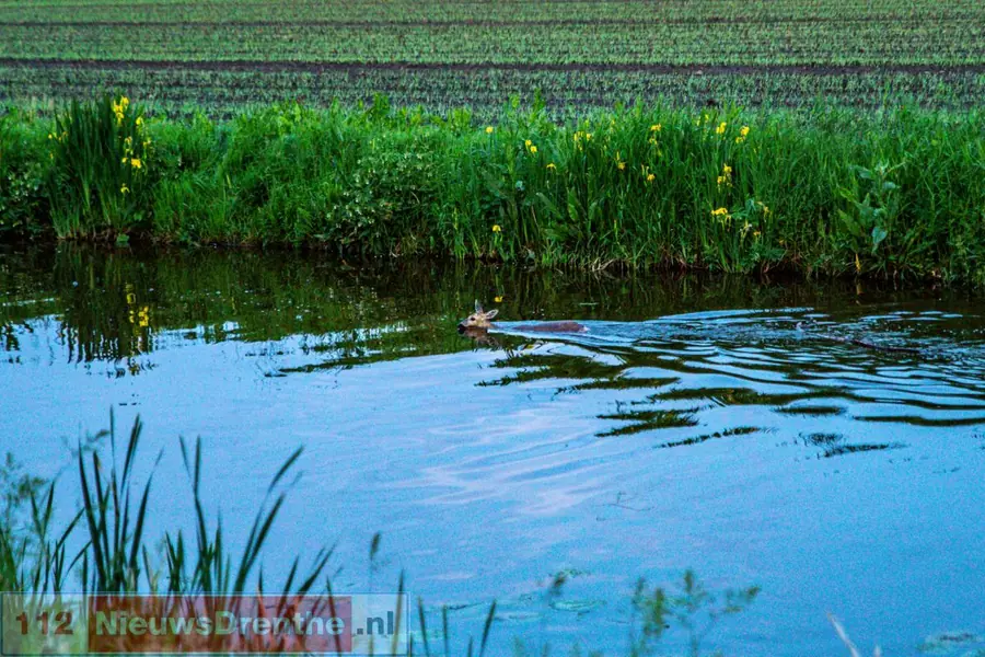 Brandweer redt reetje in Nieuw-Weerdinge