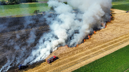 Flinke rookwolken bij akkerbrand in Erica — foto 1 van 4