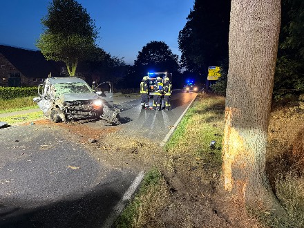 Auto raakt van de weg en botst tegen boom in Duitse Haren — foto 3 van 4