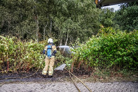Bosbrand verspreidt zich snel door droogte In Holsloot — foto 3 van 4