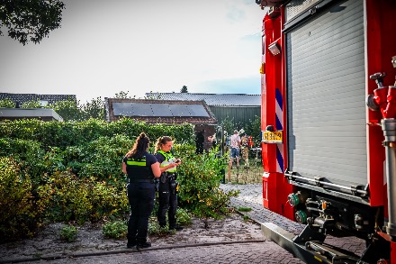 Brand aan buitenzijde van schuurtje in Wijster — foto 5 van 6