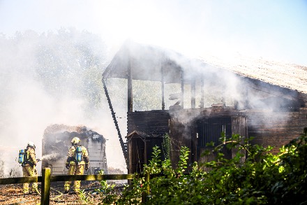 Grote brand in paardenstal in Ter Apel — foto 4 van 4