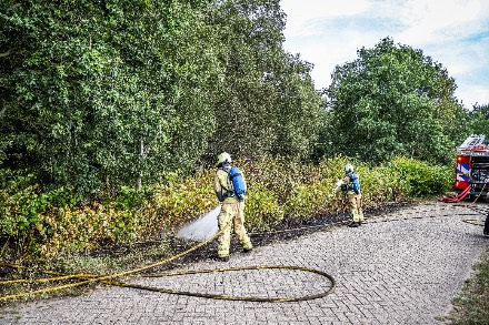 Bosbrand verspreidt zich snel door droogte In Holsloot — foto 2 van 4